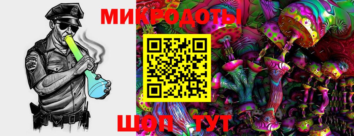Кириши  Псилоцибиновые грибы ЛСД  Вход с VPN 