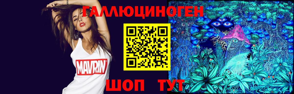 Псилоцибиновые грибы Psilocybe Кириши